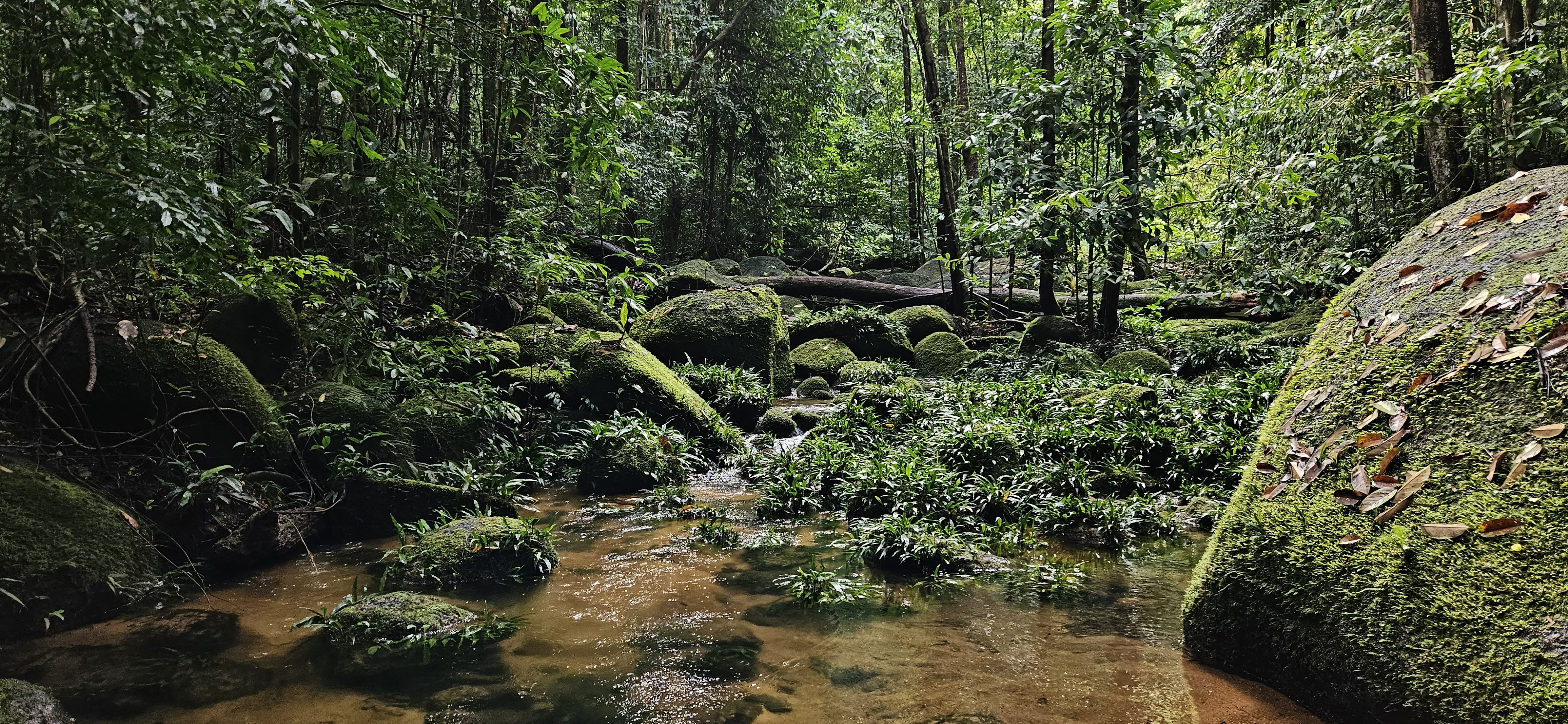 Foto da expedição 4